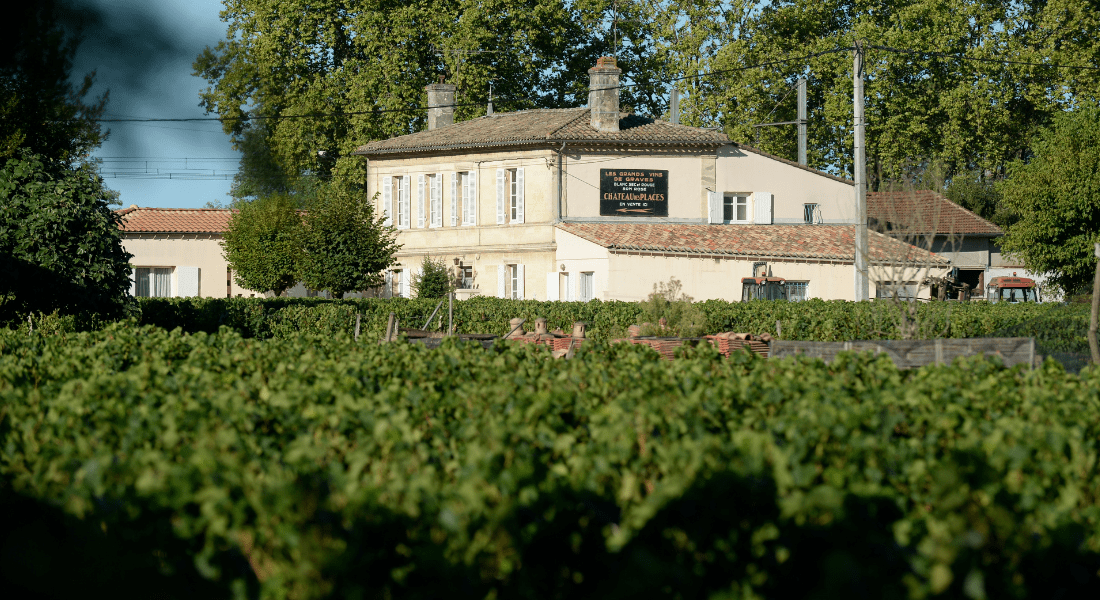À la découverte des Vignobles Reynaud