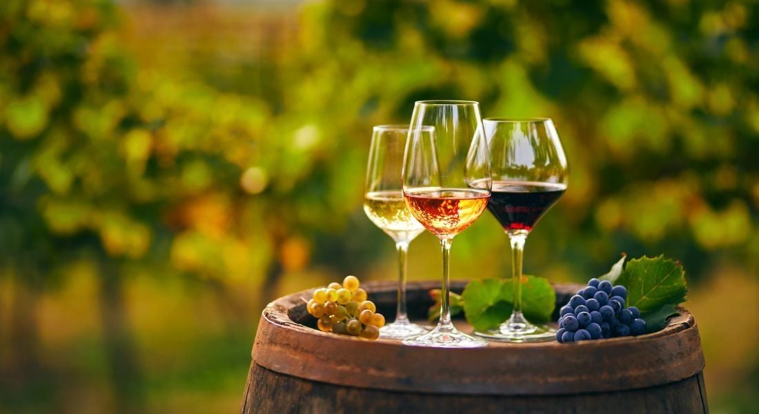 Tendance « Sans alcool » : comment bien choisir et déguster les alternatives au vin traditionnel