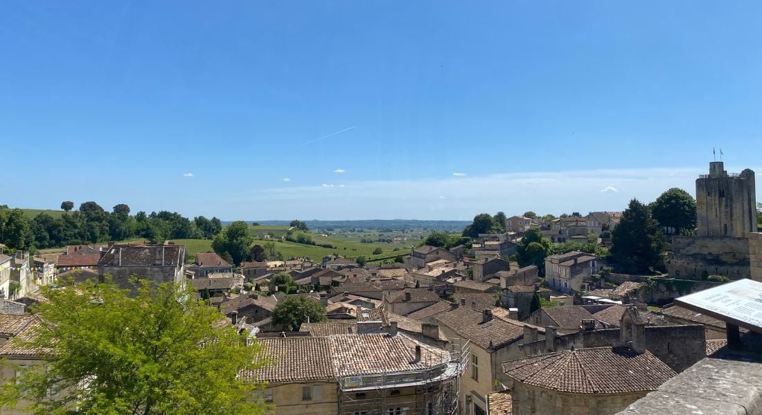 À la découverte de la Maison Bertrand Ravache : une vision audacieuse des vins de Bordeaux