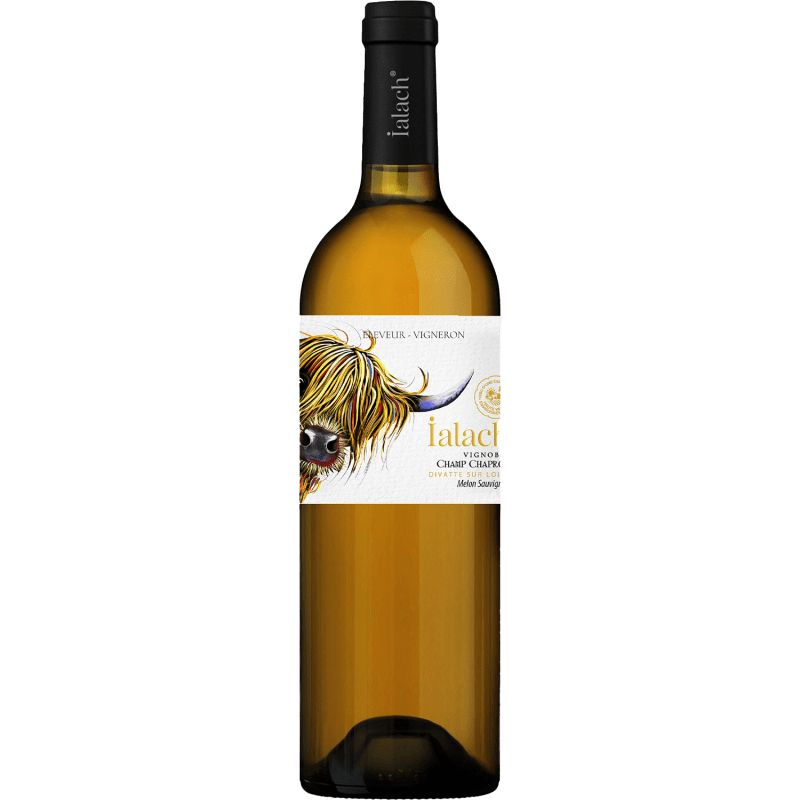 Ialach, Non Mill, Vin de France, Vin Blanc